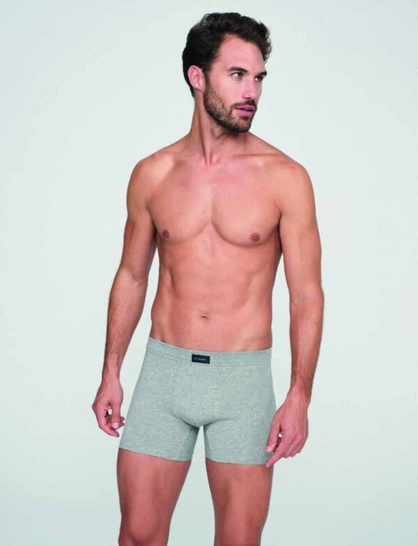 BOXER DON ALGODON PB500 PACK-2