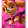 Manta Paw Patrol 720-226