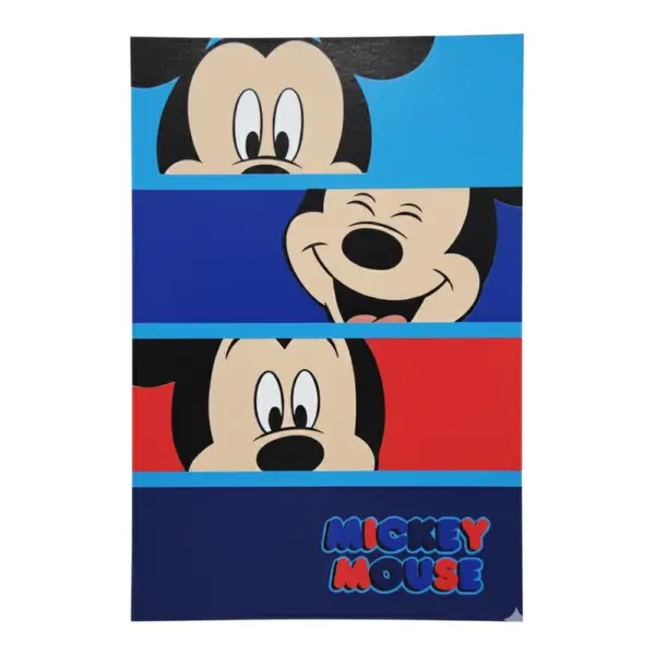 Manta Mickey Blanket-33