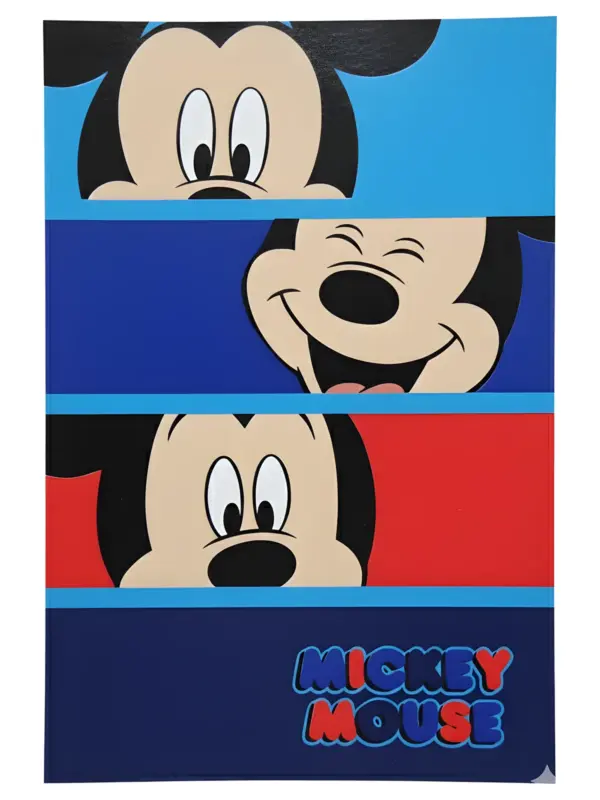 Manta Mickey Blanket-33