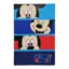 Manta Mickey Blanket-33