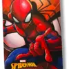 Manta Spiderman Blanket-23