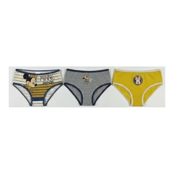 Vh8042 Caja 3 Bragas Minnie