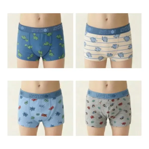 123 Boxer Niño Pack 2 Waterlemon
